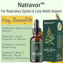 Load image into Gallery viewer, NATRAVOR™  Mullein Leaf Extract