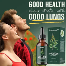 Load image into Gallery viewer, NATRAVOR™  Mullein Leaf Extract