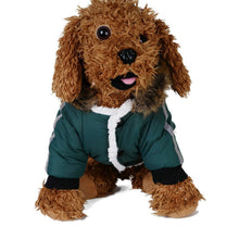 Load image into Gallery viewer, Amazon&#39;s new pet clothes dog waterproof hoodie bag reflective strip autumn/winter cotton coat leash chest back - Critique Clothing - 