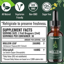 Load image into Gallery viewer, NATRAVOR™  Mullein Leaf Extract